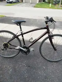 Specialized Globe hybrid bike. Small frame bicycle 