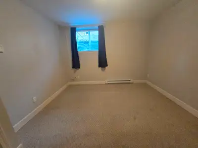 2 Bed/1Bath Basement Suite Cloverdale