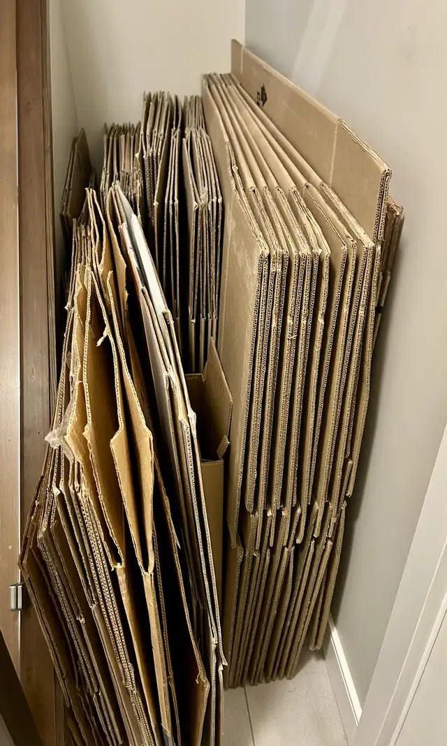 Moving boxes (wardrobe; mirror; various sizes and file boxes) in Other in Victoria - Image 3