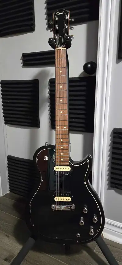 Godin Radiator , View more