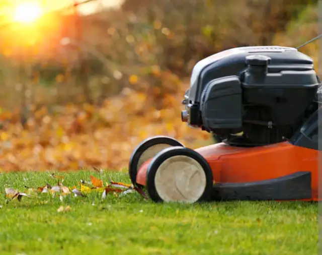 Lawn Mowing and Weed pulling amd spraying628632444902411211