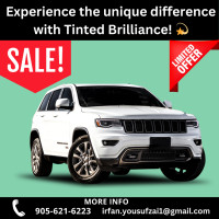 TintMaster: Excellence in Tinting!