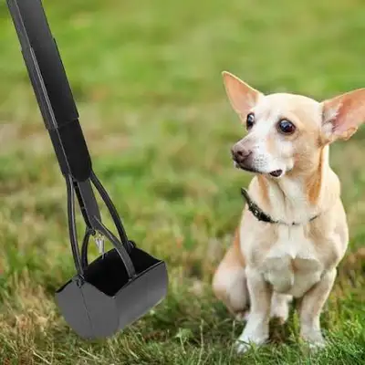 Dog Poop Removal , View more