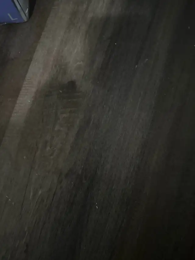 Looking house on rent