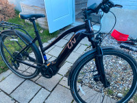 Vélo à assistance électrique pour femme Liv