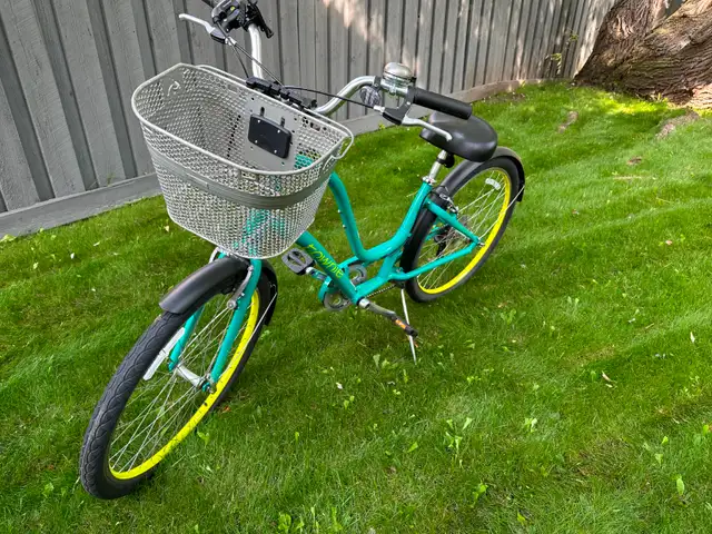 Electra Townie bicycle523049776396390405