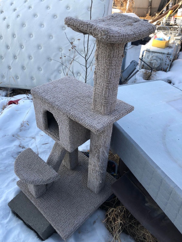 I deliver! Cat Tree Accessories St. Albert Kijiji