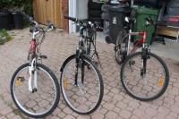Adult Bicycles  for Sale