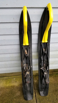 Skidoo pilot skiis