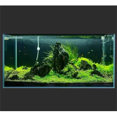 New in Box Landen 100P 50 Gallon Rimless Low Iron Aquarium Tank [Rich landscape application] Rich la...
