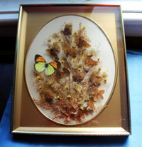 Butterfly dried flower specimen ornaments