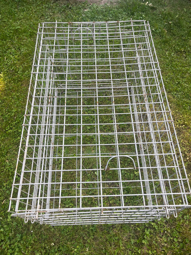 Large dog/ animal crate/ cage in Animal & Pet Services in City of Toronto - Image 4