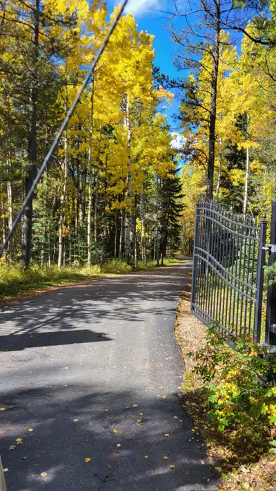 This stunning, new Montana inspired cabin is available for rent on a one year lease or monthly. The...