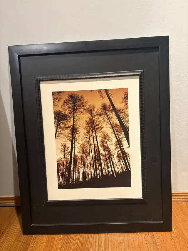 Framed Art Prints in Home Décor & Accents in Fort McMurray - Image 4