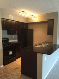 2 Bedroom McConachie Condo