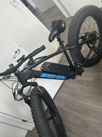 Vélo “fat bike electrique”