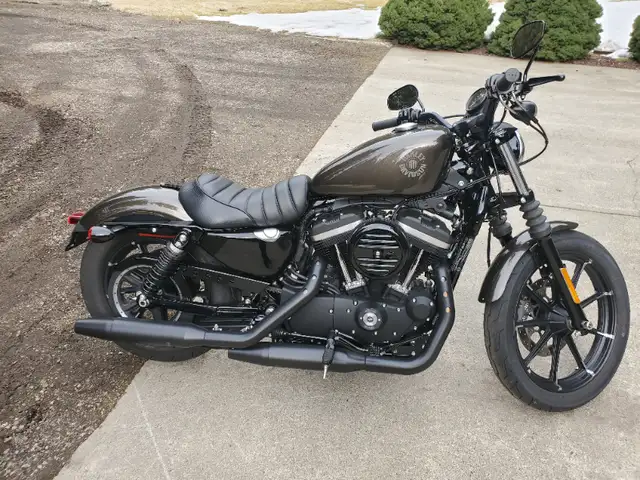 2020 Harley-Davidson 883 Sportster - Low KM! in Street, Cruisers & Choppers in Kamloops - Image 8