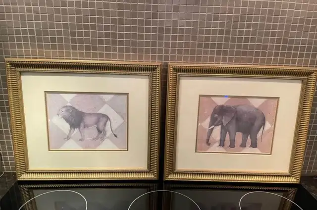 2 exotic frames - Lebourgneuf64396544390787120