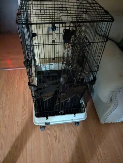 Chinchilla/Degu Cage (maybe Ferret), View more