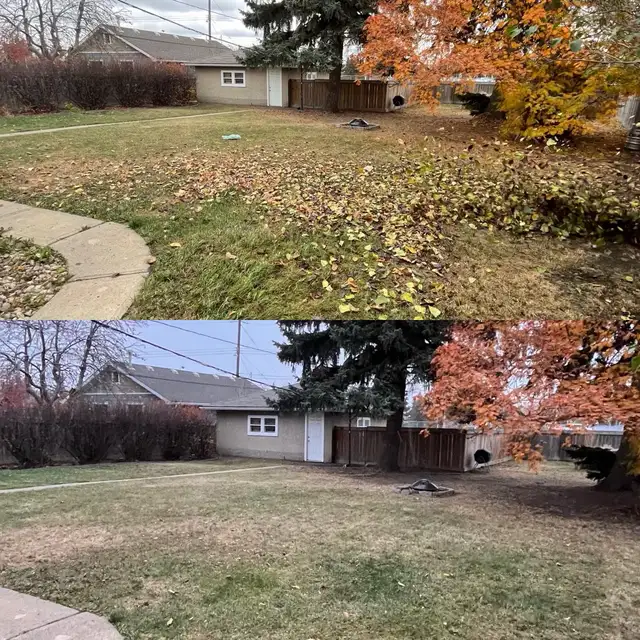 FALL CLEANUP • OVERGROWN YARD586457737531248648