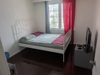 Room available Bayview and Finch