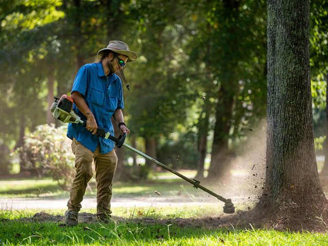 Yard Clean-Up &  Spring Yard Work Help414911075494154240