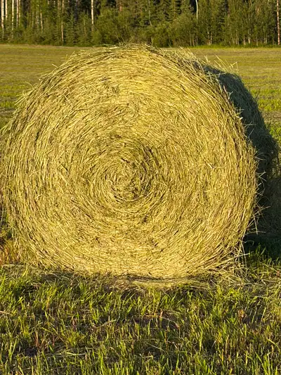 Locally  grown hay, View more