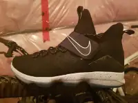 Nike Lebron 14 "Black Ice "