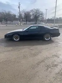 GTA Transam Available May 11 @ TEAM Auction