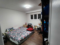 Temporary shared Accommodation (Master Bed room)