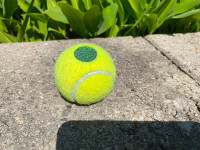 Lots of Gently used kids and adult  tennis balls