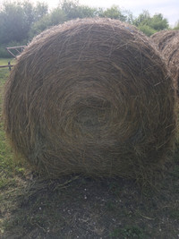 Grass hay for sale