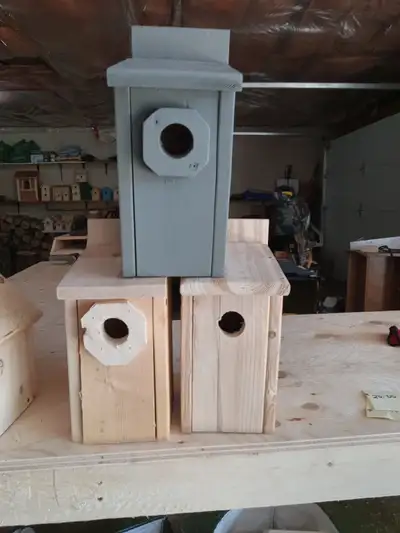 Bird and Bathouse for sale, View more