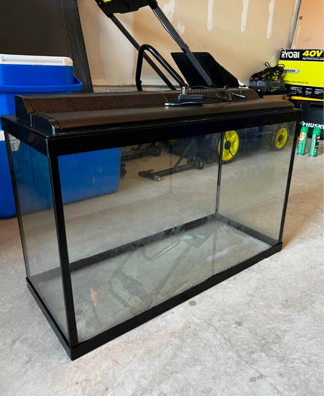 30 Gallon Fish Tank in Fish for Rehoming in Oshawa / Durham Region