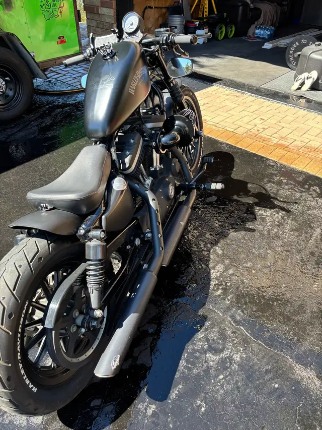Harley Davidson Iron 883 in Street, Cruisers & Choppers in Oshawa / Durham Region - Image 2