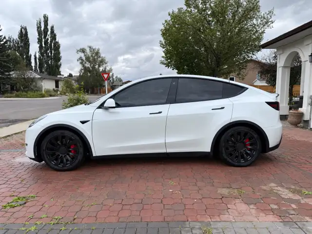 2020 Tesla Model Y Performance AWD558834001684080645