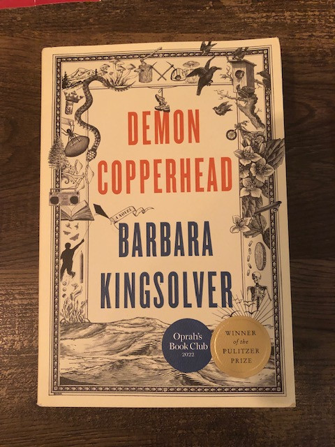 Demon Copperhead by Barbara Kingsolver in Fiction in City of Toronto