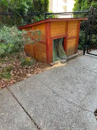 Cedar Doghouse