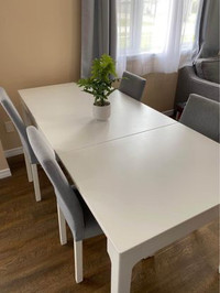 Dining Table Set (Extendable Length)