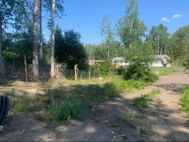 5 Bed 2 Bath House on Acreage 5 minutes from Smithers in Houses for Sale in Smithers - Image 11