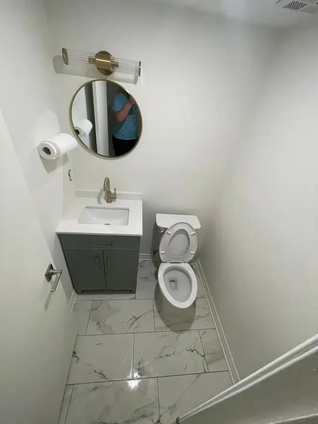 bathroom renovation491796809657231360