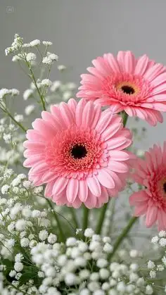 Flower Shop Business for Sale