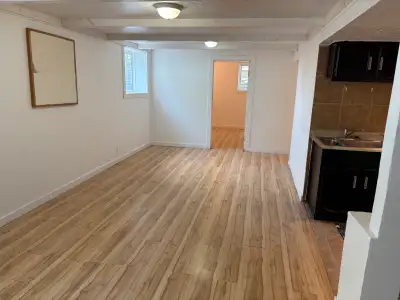 Newly Renovated Basement Suite In Whitehorn For Rent