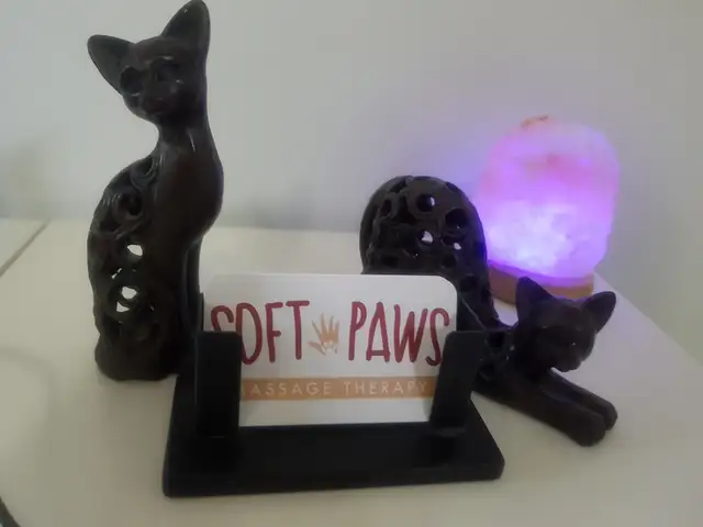 RMT is looking to expand his clientele in Massage Services in Edmonton - Image 4