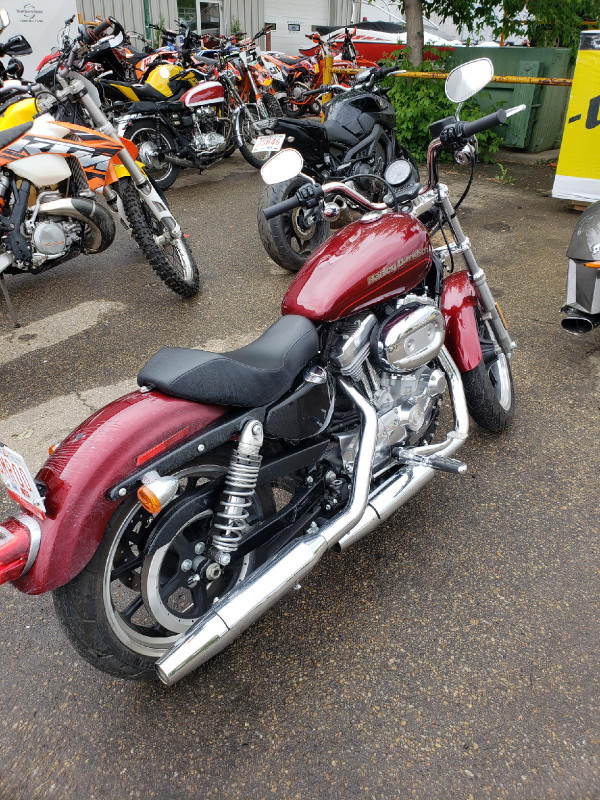 LIKE NEW 2016 Harley Davidson XL883L Sportster in Street, Cruisers & Choppers in St. Albert - Image 3
