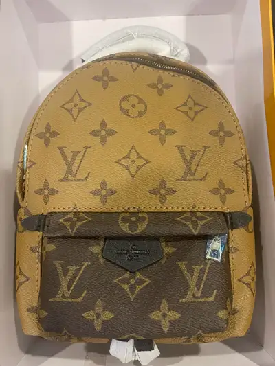 Louis Vuitton Palm Springs Mini reverse, View more