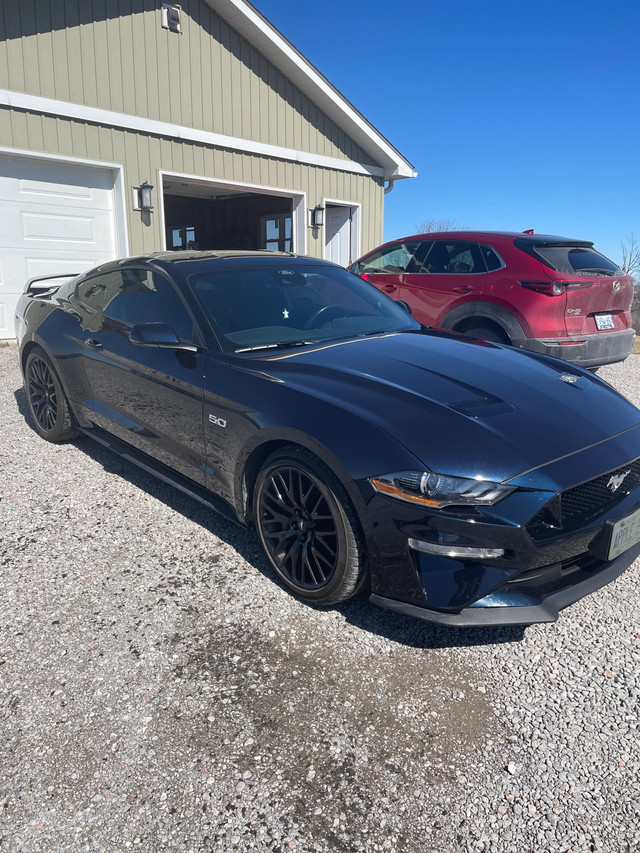 2021 Supercharged Mustang GT in Cars & Trucks in Peterborough - Image 3