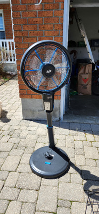 Bionaire oscillating pedestal fan