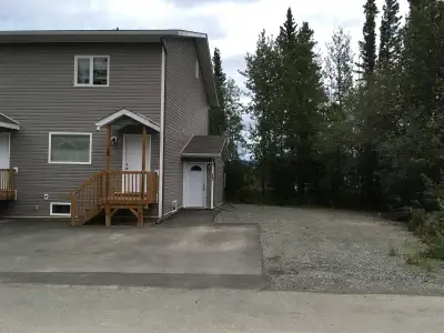Basement suite with 700 sq.ft. of living area, good closet space