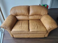 Couch - Sofa - love seat - 2-seater